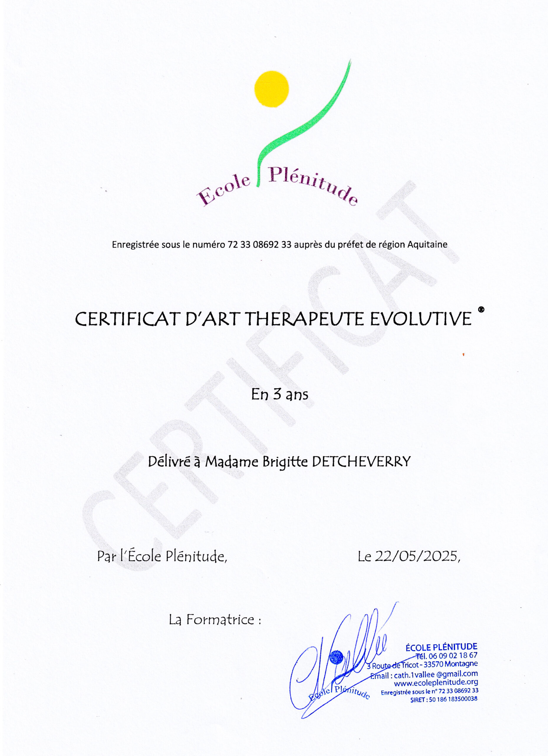 art-therapeute évolutive_certificat_art-thérapie_dessin_Ecole art-therapie