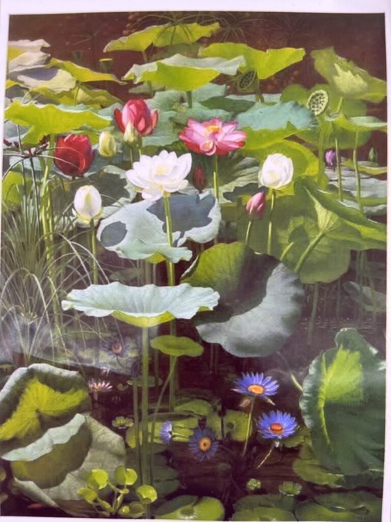 Lotus-dessin-pastels secs
